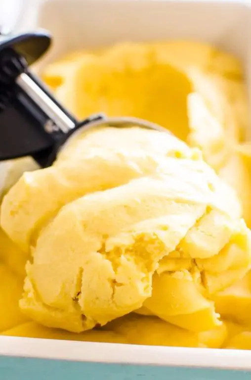 Coconut Mango Health Ice Cream