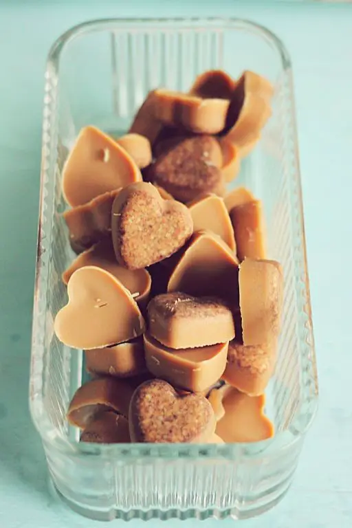 Coconut Oil Doggie Fudge