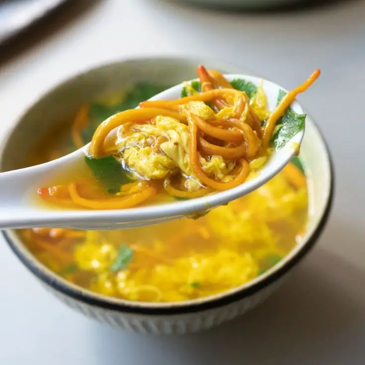 Cordyceps and Shrimp Noodle Soup