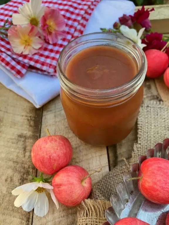 Crabapple Butter Spread