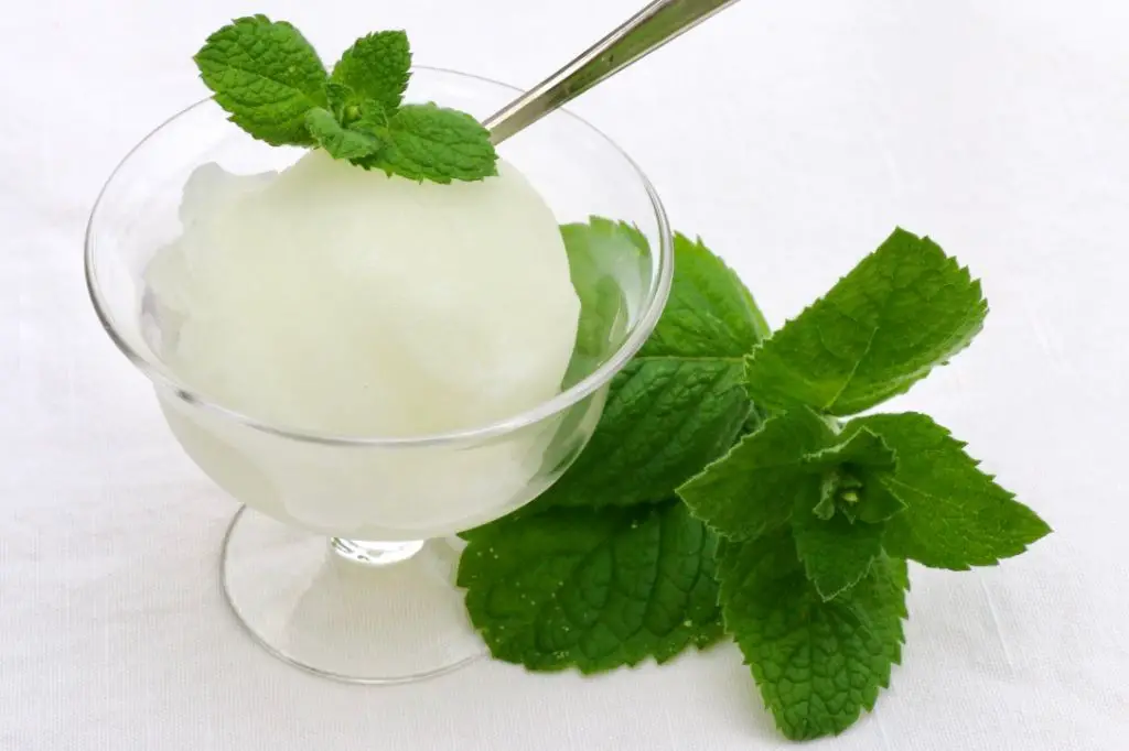 Crabapple Sorbet with Mint