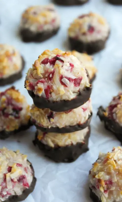 Cranberry Coconut Macaroons