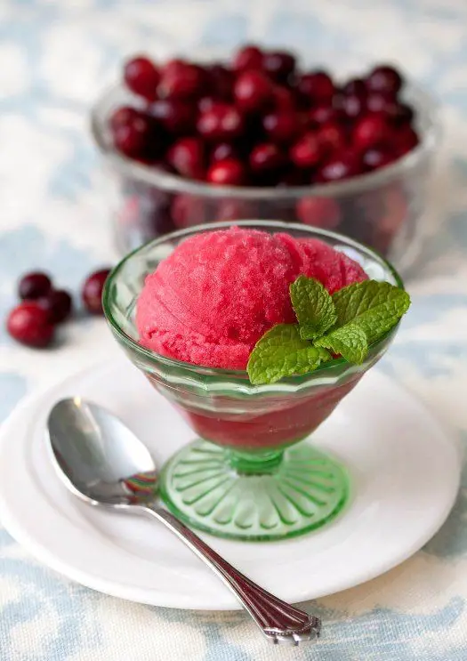 Cranberry Sorbet