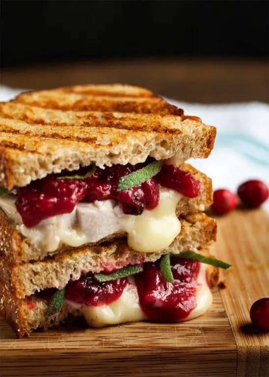 Cranberry Turkey Panini with Brie
