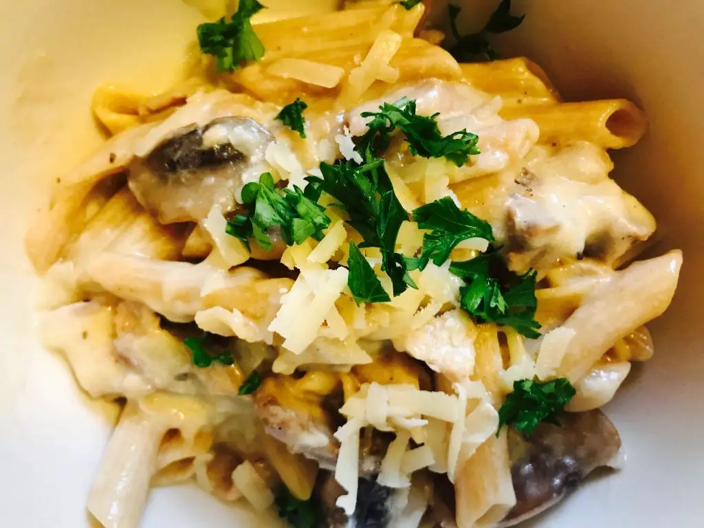 Creamy Turkey and Mushroom Pasta
