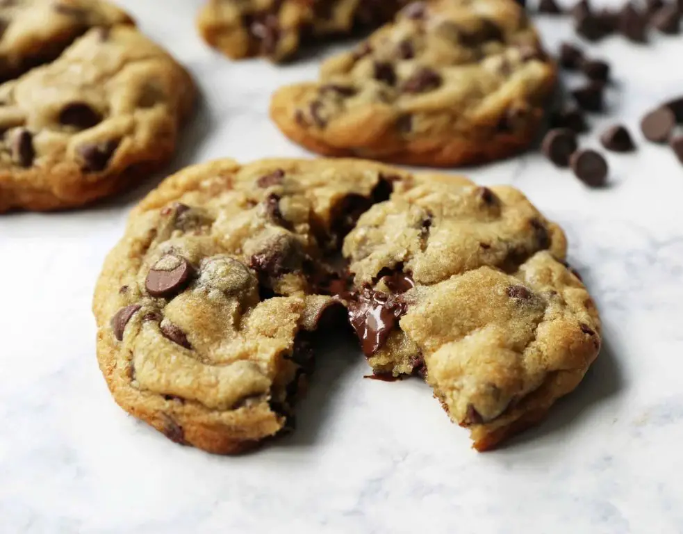 Cricket Flour Chocolate Chip Cookies