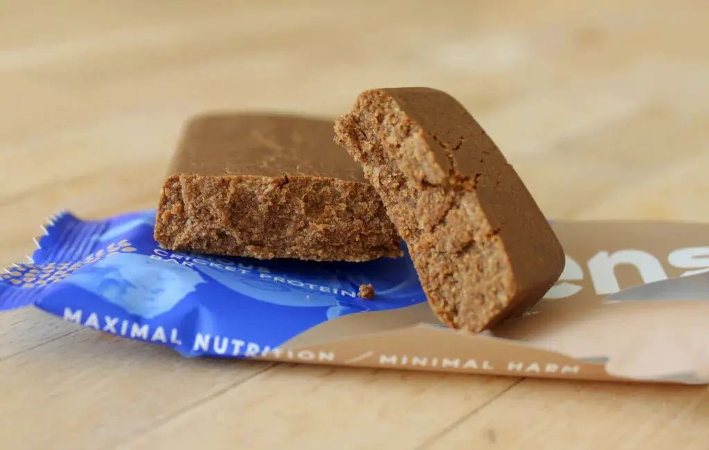 Cricket Protein Energy Bars with Nuts and Honey