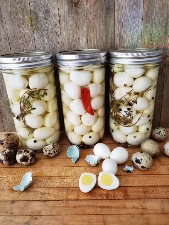 Curry-Spiced Pickle Quail Eggs