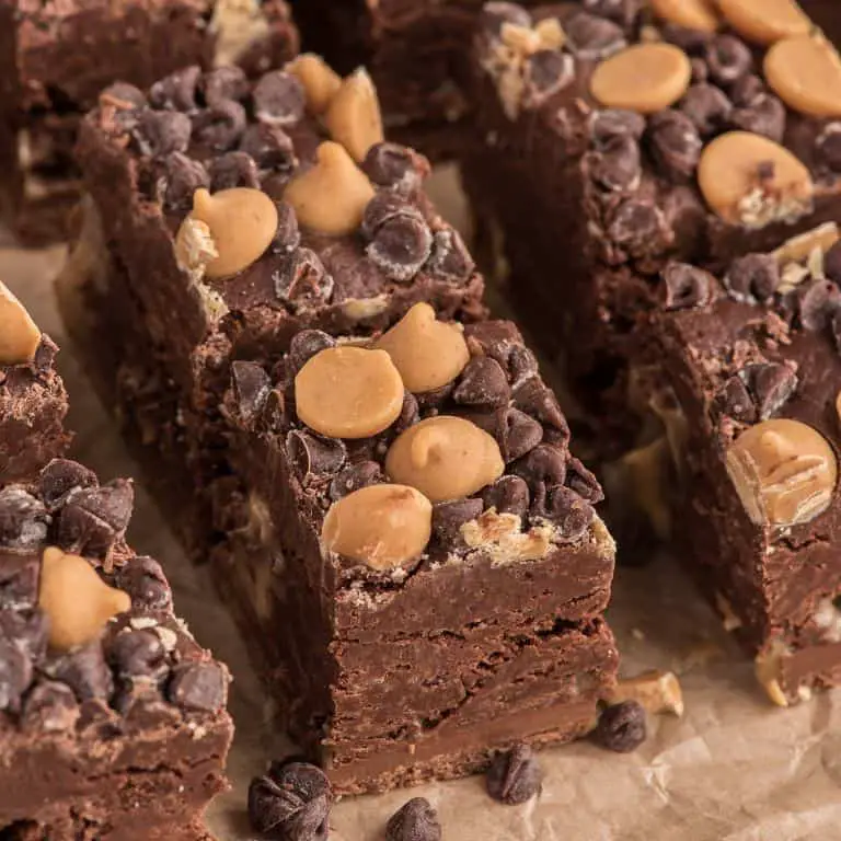 Double Chocolate Peanut Butter Fudge