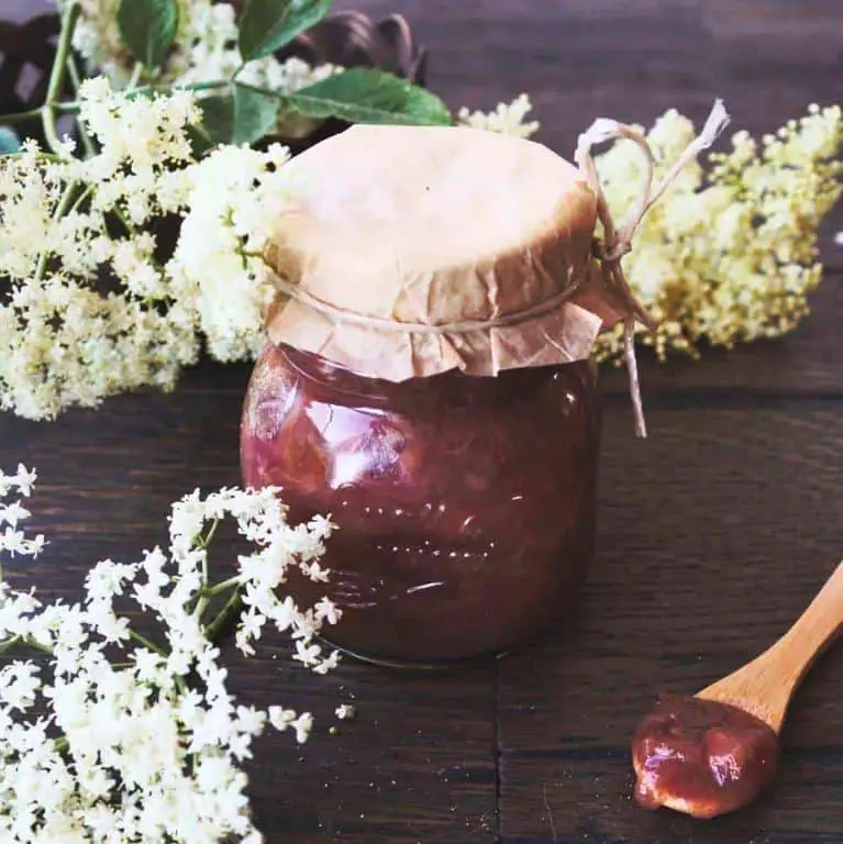 Elderflower Rhubarb Jelly with Lemon Balm