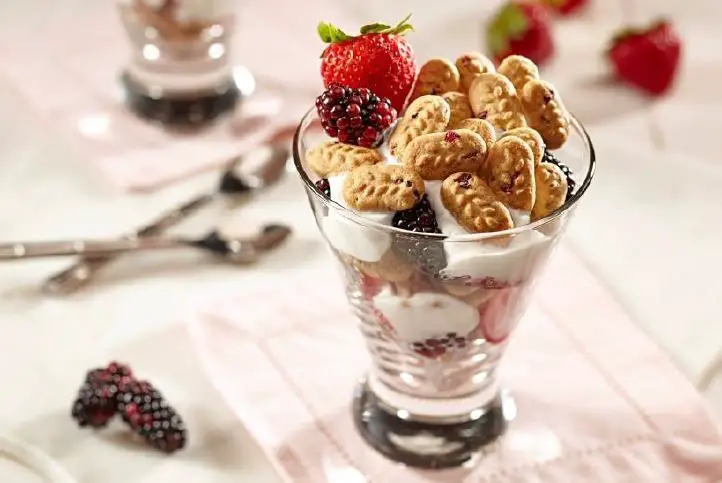 Ewok Forest Berry Parfait