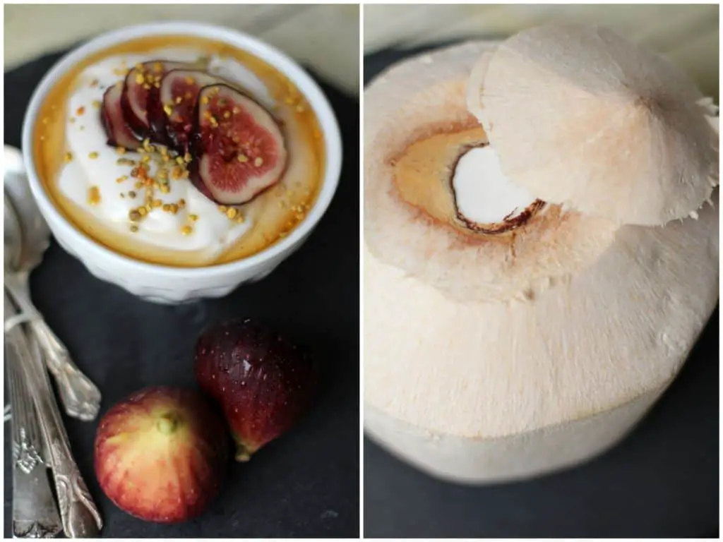 Fermented Coconut Yogurt