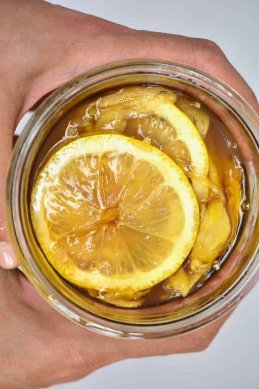 Fermented Ginger Lemon Tonic