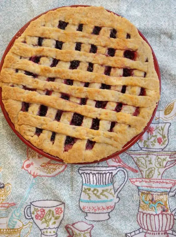 Flaky Self Rising Flour Pie Crust