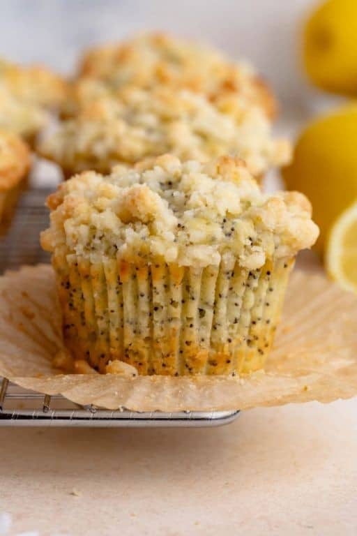 Freeze Dried Lemon Poppy Seed Muffins