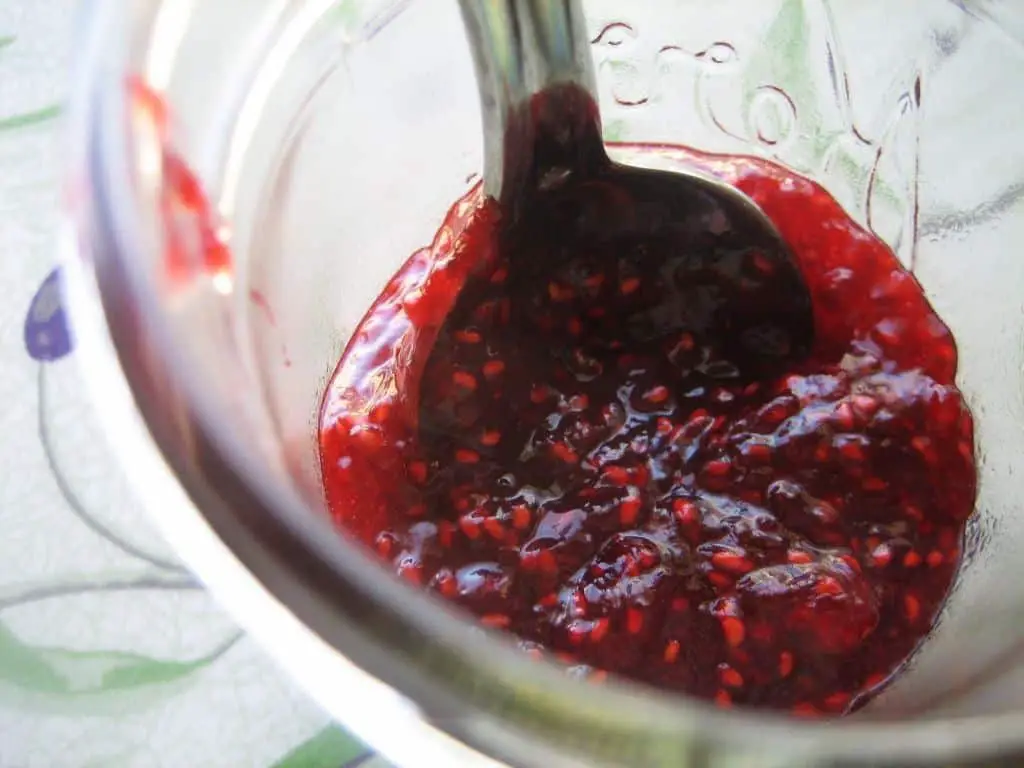 Freeze Dried Mixed Berry Jam