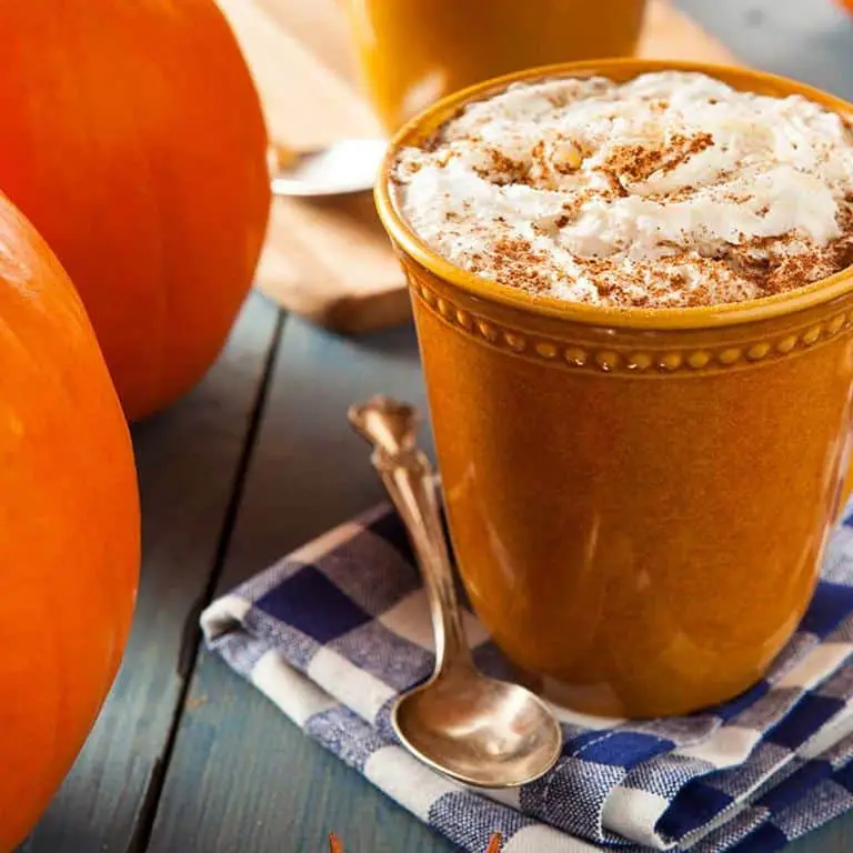Freeze Dried Pumpkin Spice Latte Mix