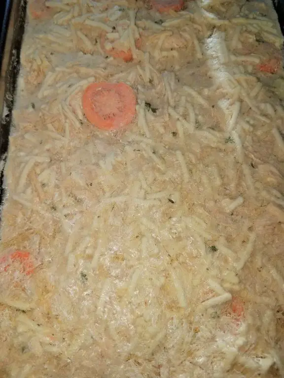 Freeze-Dried Chicken Noodle Soup Mix
