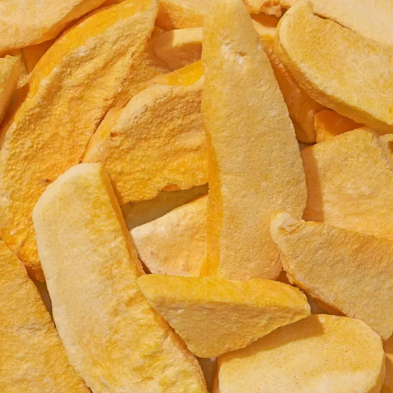 Freeze-Dried Mango Slices