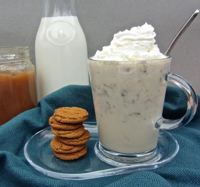 Ginger Snap Milkshake with Vanilla Ice Cream