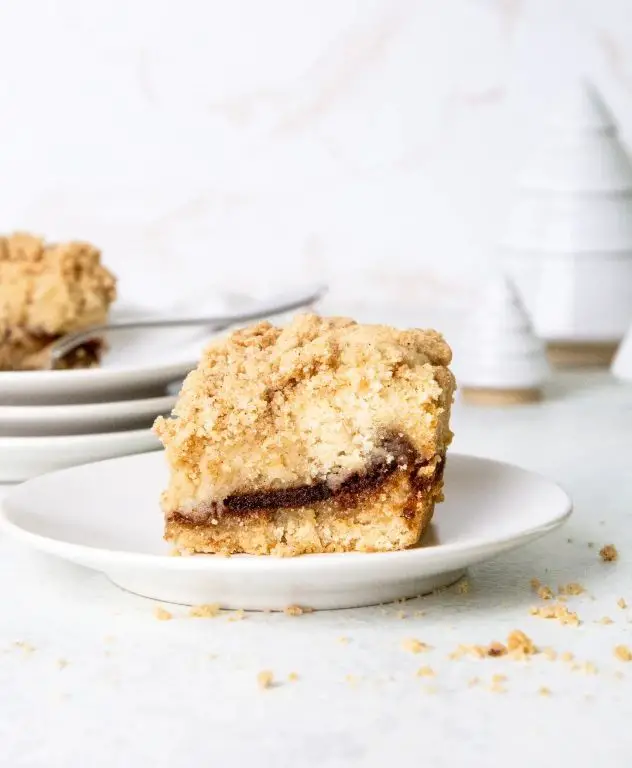 Gluten Free Chocolate Coffee Cake with Cinnamon Swirl