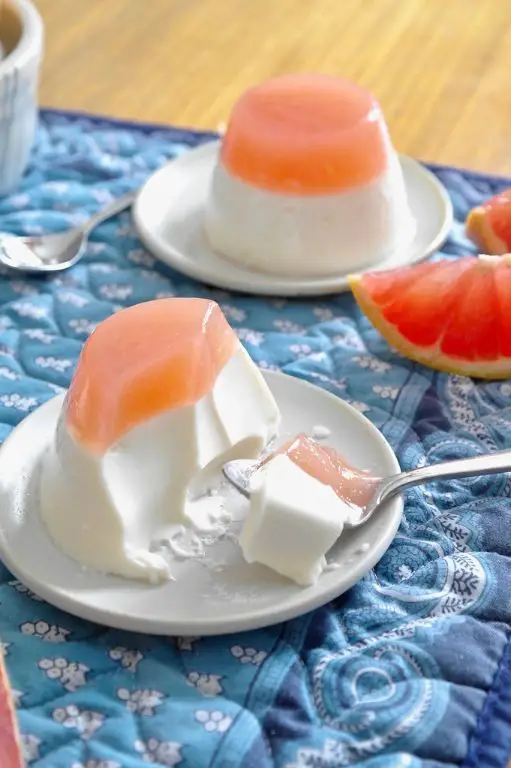 Grapefruit Rosemary Jello Jigglers