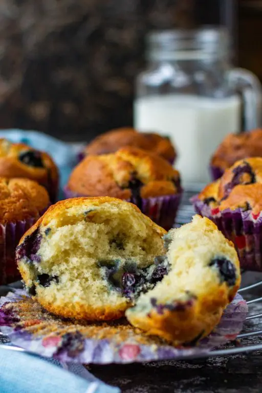 Greek Yogurt Blueberry Muffins