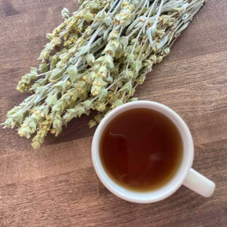 Herbal Tea with Mountain Herbs