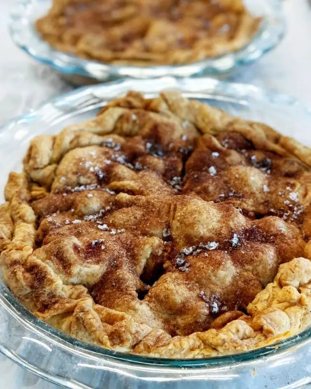 Homemade Dried Apple Pie Filling