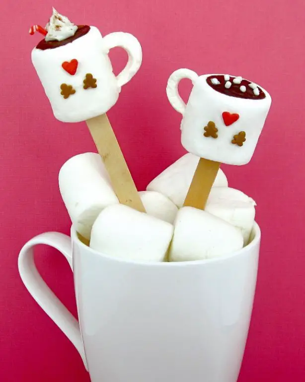 Hot Cocoa Marshmallow Pops