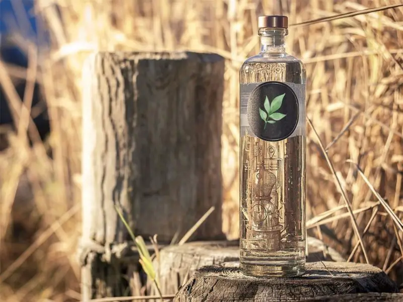 Japanese Knotweed Infused Vodka