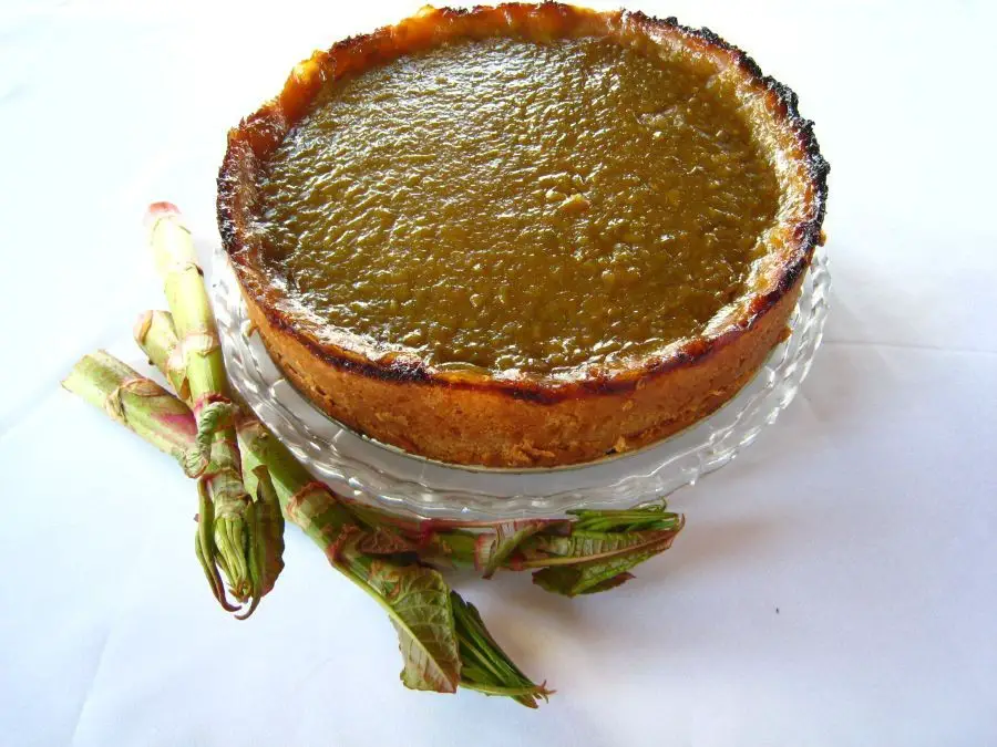 Japanese Knotweed Pie with a Flaky Crust