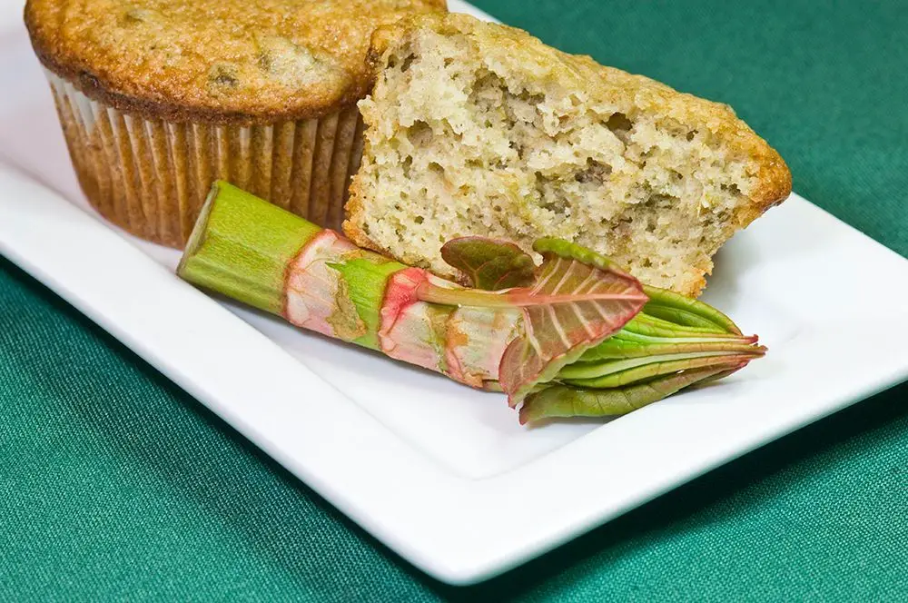 Japanese Knotweed and Walnut Muffins