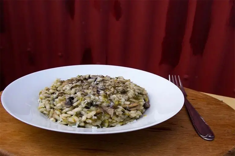 Kelp and Mushroom Risotto