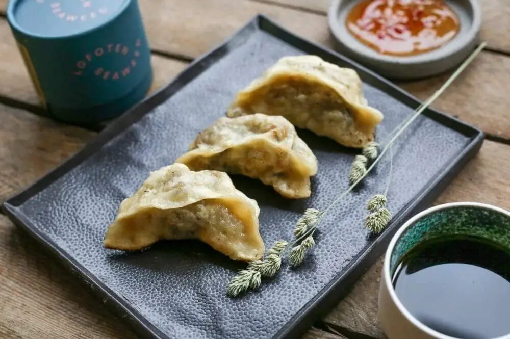 Kelp and Tofu Dumplings