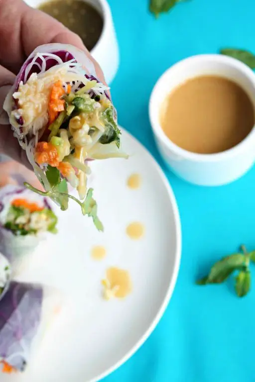 Kewpie Sesame Dressing Dip for Spring Rolls
