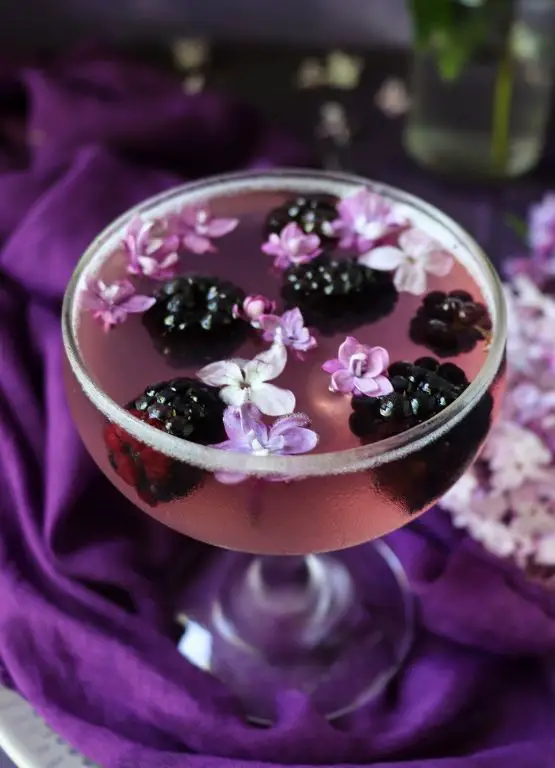 Lavender and Honey Jello Shots