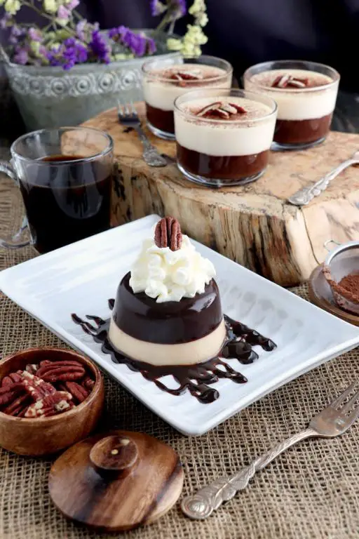 Layered Chocolate Gelatin Pudding