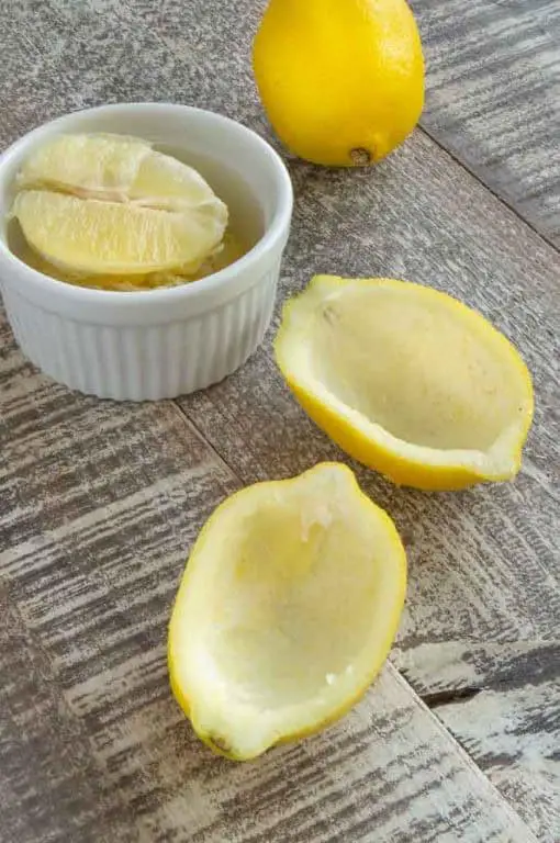 Lemon Peel Ice Cream