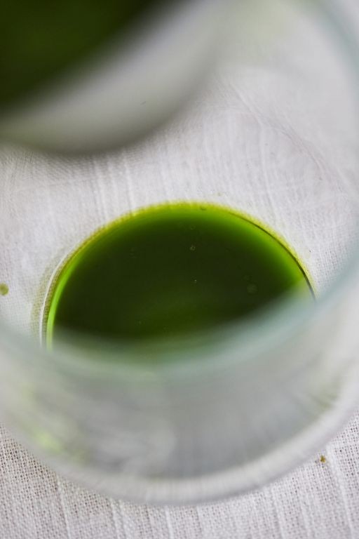 Lovage-Infused Olive Oil