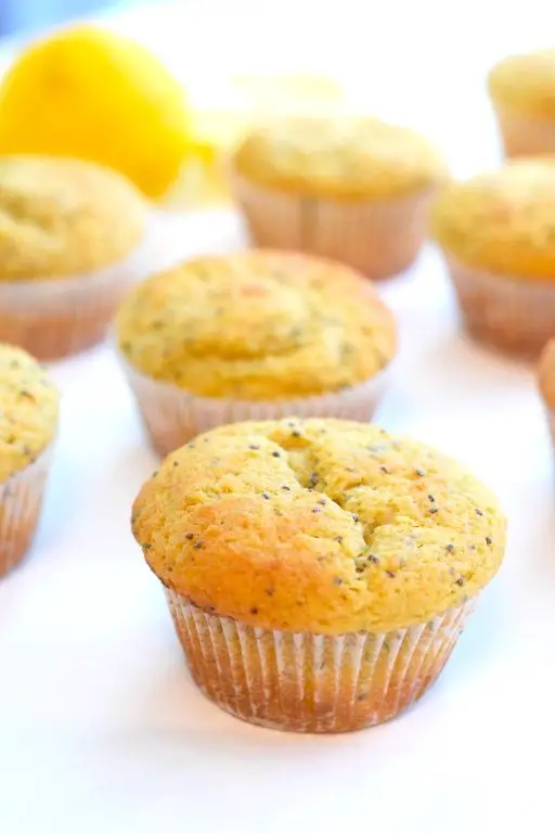 Lupin Flour Lemon Poppy Seed Muffins