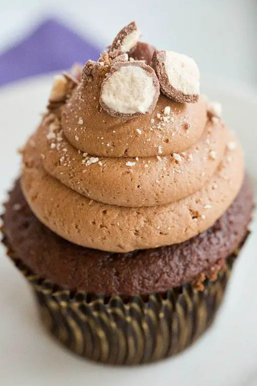 Malted Milk Cupcakes