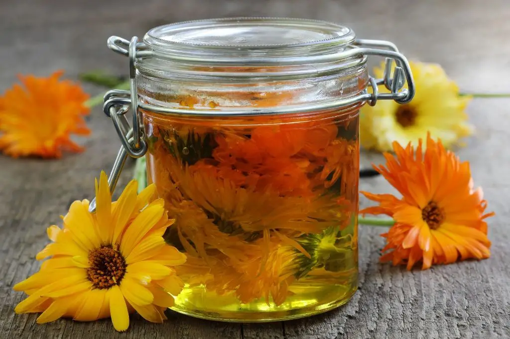 Marigold Infused Olive Oil
