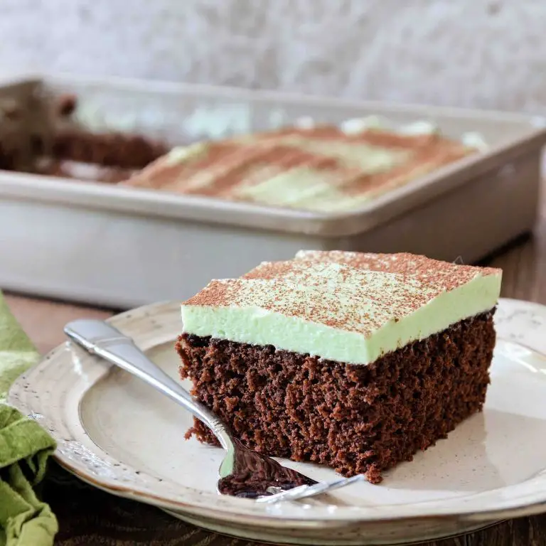 Mayonnaise Chocolate Mint Cake