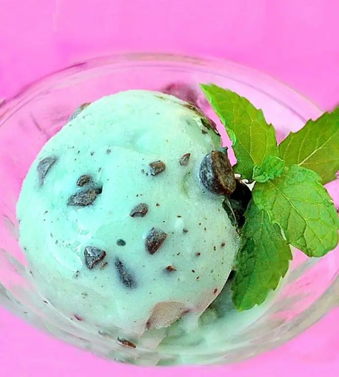 Mint Chocolate Chip Health Ice Cream