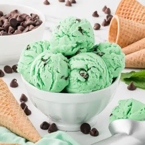 Mint Chocolate Chip Ice Cream