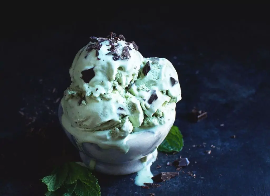 Mint Chocolate Chip Keto Ice Cream