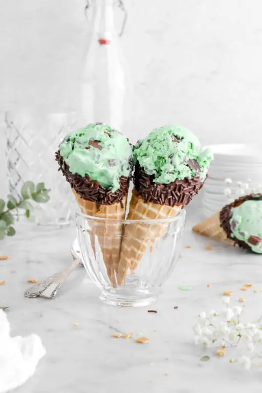 Mint Chocolate Chip Soft Serve
