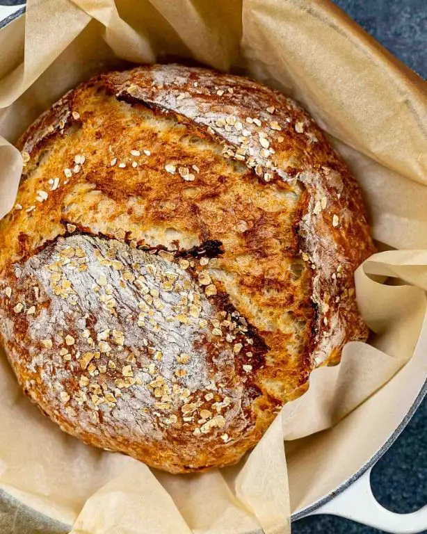 No Knead Honey Oat Bread