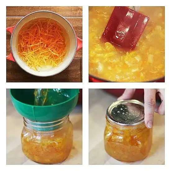 Orange Marmalade Sure-Jell Jam
